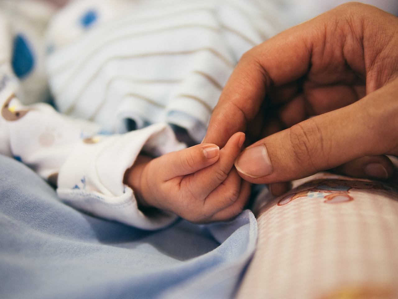 大切な車の終活、ステップインがサポートします！